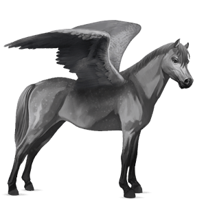 pegasus pony australian pony dapple gray