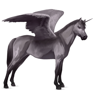 winged unicorn pony  mouse gray