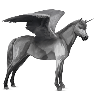 winged unicorn pony  australian pony light gray