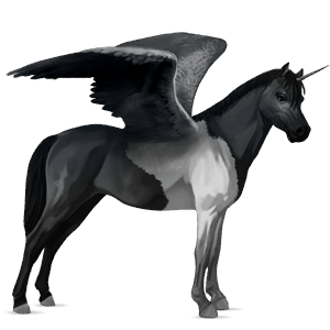 winged unicorn pony  fjord gra