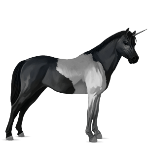 unicorn pony newfoundland pony dapple gray