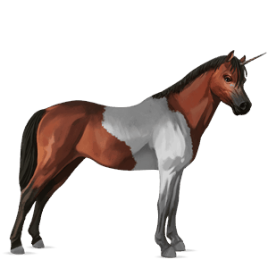 unicorn pony dapple gray