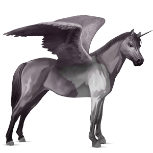 winged unicorn pony  haflinger flaxen chestnut 