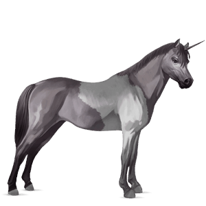 unicorn pony australian pony bay