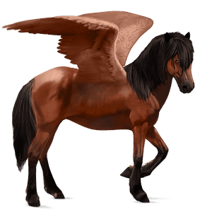 riding pegasus thoroughbred dark bay