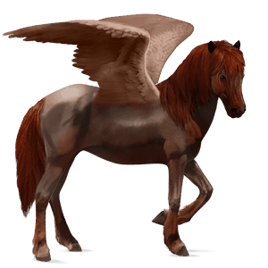 pegasus pony welsh strawberry roan