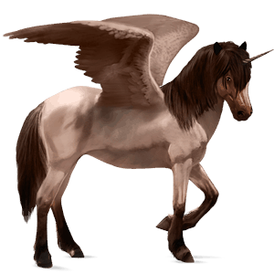 winged riding unicorn brumby roan