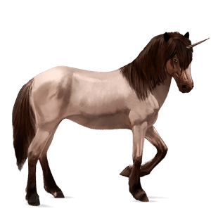 riding unicorn black