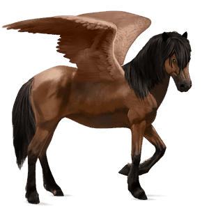 riding pegasus argentinean criollo bay