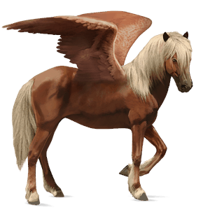 riding pegasus nokota black