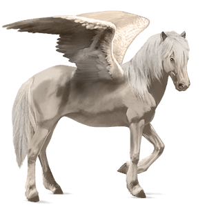 riding pegasus quarter horse roan
