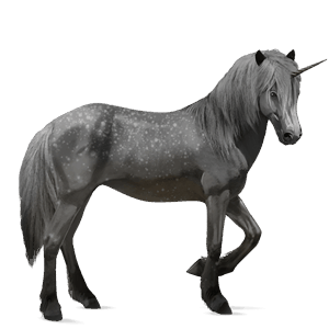 riding unicorn kwpn dapple gray