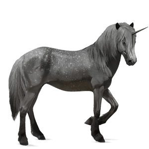 riding unicorn cherry bay