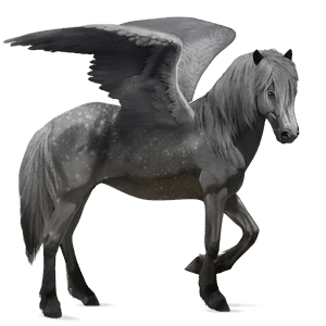 riding pegasus hanoverian cherry bay