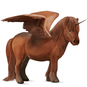 winged unicorn pony  newfoundland pony chestnut