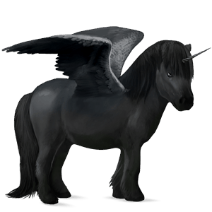 winged unicorn pony  newfoundland pony dark bay