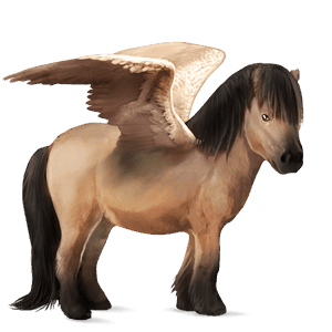pegasus pony dun