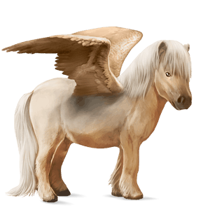 pegasus pony highland pony light gray