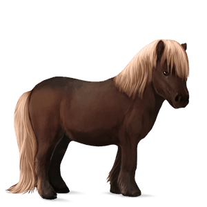 pony quarter pony palomino