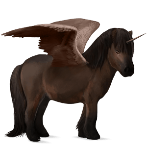 winged unicorn pony  shetland cherry bay