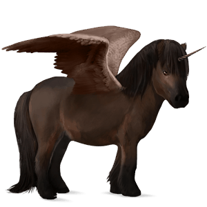 winged unicorn pony  shetland dark bay