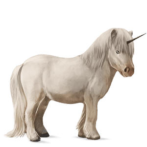 unicorn pony shetland dark bay