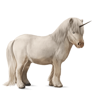 unicorn pony shetland black