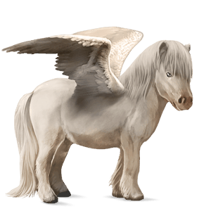 pegasus pony shetland dapple gray