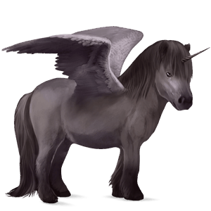 winged unicorn pony  australian pony black