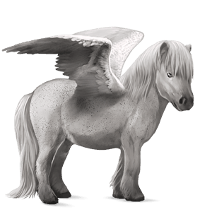 pegasus pony shetland mouse gray