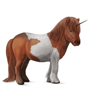 riding unicorn dark bay