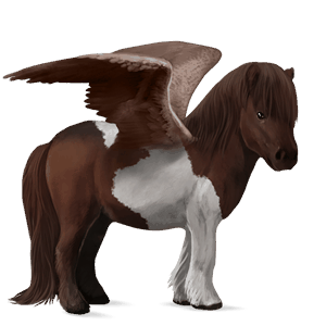 pegasus pony dark bay tobiano