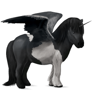 winged unicorn pony  shetland dark bay
