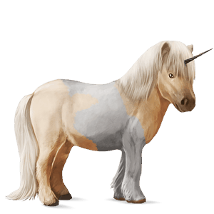 unicorn pony shetland roan