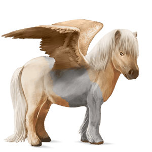 pegasus pony shetland chestnut
