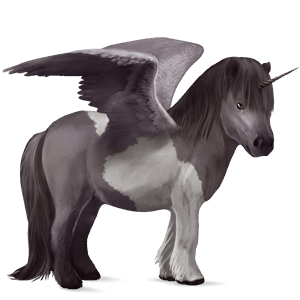winged unicorn pony  shetland dapple gray