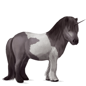 unicorn pony shetland liver chestnut tobiano