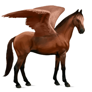 riding pegasus standardbred bay