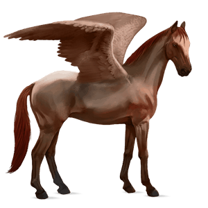 riding pegasus cherry bay