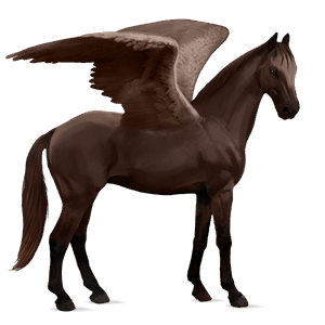 riding pegasus lipizzan liver chestnut