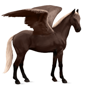 riding pegasus cherry bay
