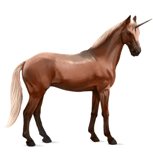 riding unicorn lusitano bay