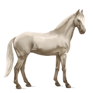 riding horse tennessee walker cremello