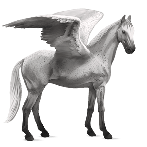 riding pegasus thoroughbred dapple gray