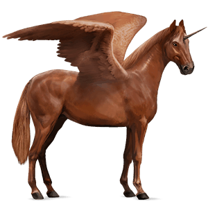 winged riding unicorn arabian horse bay