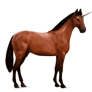 riding unicorn russian don horse chestnut