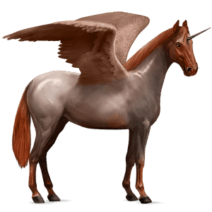 winged riding unicorn trakehner black