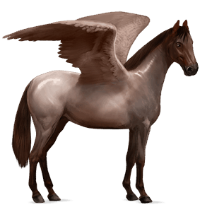 riding pegasus hanoverian roan