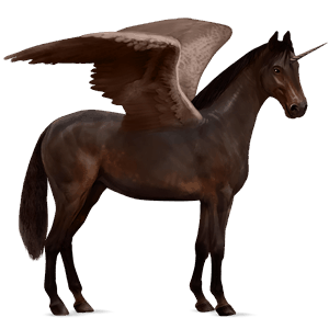 winged riding unicorn holsteiner dark bay