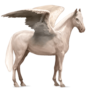 riding pegasus kwpn cremello